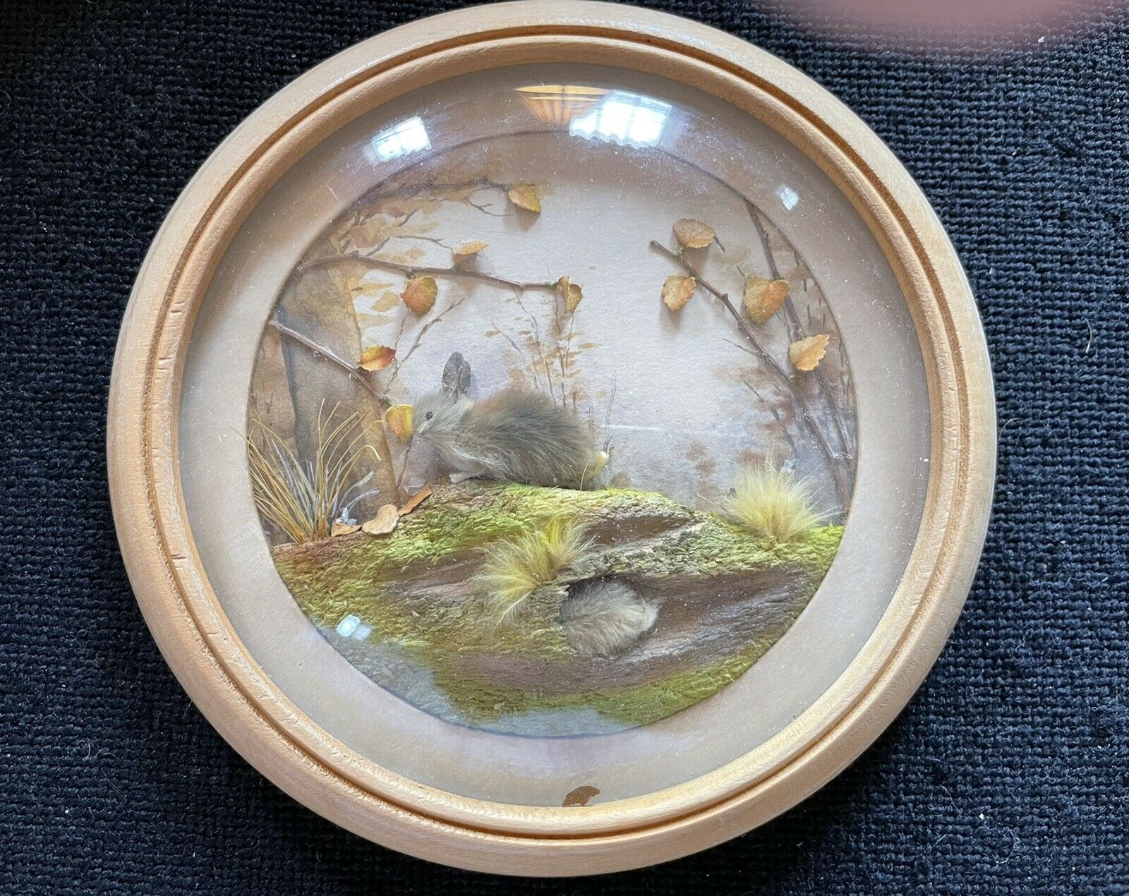 Rabbits (Version 6) (5-inch)